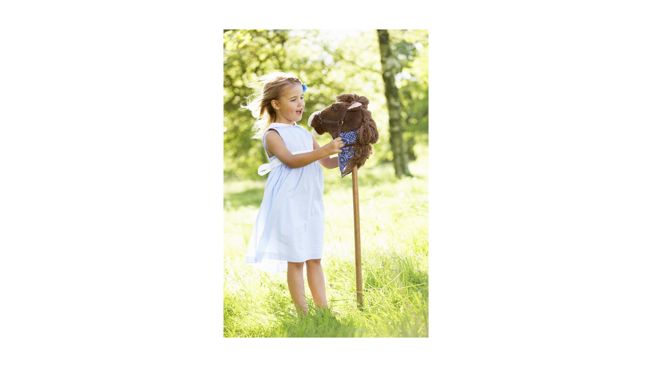 Co to jest hobby horse